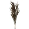 Preserved Green Reed Grass Bundle-Kirkland's Home Flash Sale