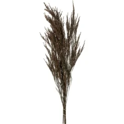 Preserved Green Reed Grass Bundle-Kirkland's Home Flash Sale