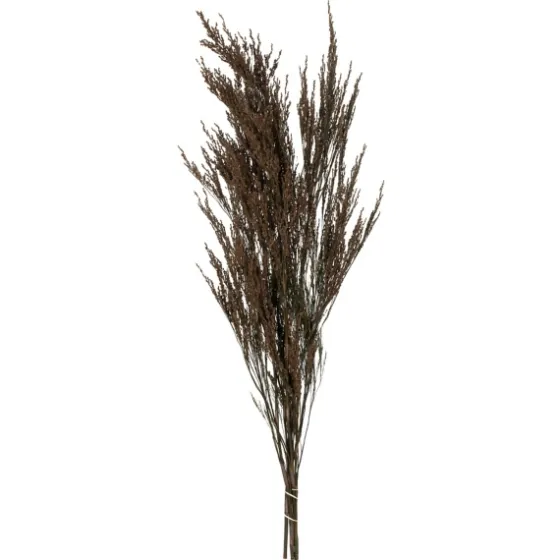 Preserved Green Reed Grass Bundle-Kirkland's Home Flash Sale