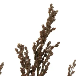 Preserved Green Reed Grass Bundle-Kirkland's Home Flash Sale