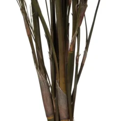 Preserved Green Reed Grass Bundle-Kirkland's Home Flash Sale