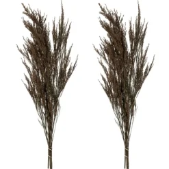 Preserved Green Reed Grass Bundle-Kirkland's Home Flash Sale