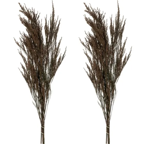 Preserved Green Reed Grass Bundle-Kirkland's Home Flash Sale