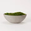 Preserved Mood Moss In Oval Concrete Bowl-Kirkland's Home Outlet