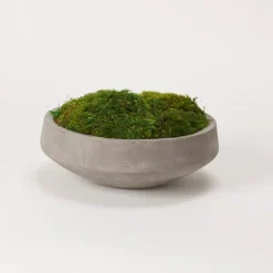 Preserved Mood Moss In Round Cement Bowl-Kirkland's Home Cheap