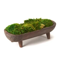 Preserved Mood Moss In Wooden Bowl With Legs-Kirkland's Home Cheap