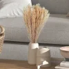 Preserved Natural Bleached Staavia Bush-Kirkland's Home Clearance