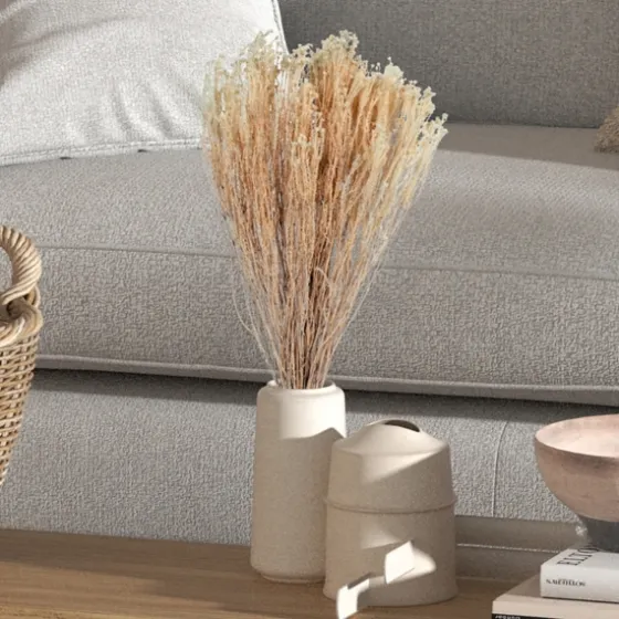 Preserved Natural Bleached Staavia Bush-Kirkland's Home Clearance