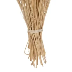 Preserved Natural Bleached Staavia Bush-Kirkland's Home Clearance