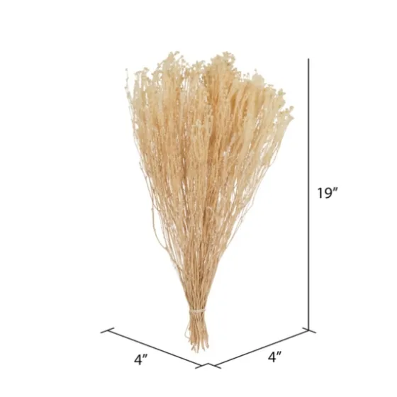 Preserved Natural Bleached Staavia Bush-Kirkland's Home Clearance