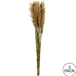 Preserved Plume Reed Bundles, Set Of 2-Kirkland's Home Best