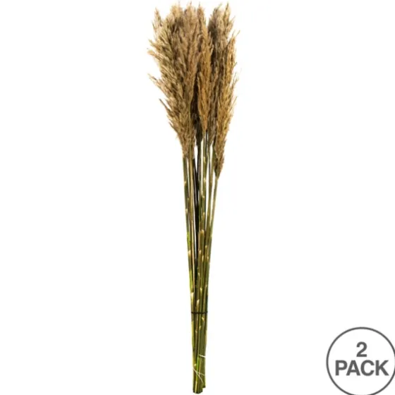 Preserved Plume Reed Bundles, Set Of 2-Kirkland's Home Best