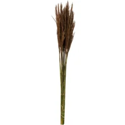 Preserved Plume Reed Bundles, Set Of 2-Kirkland's Home Cheap