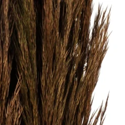 Preserved Plume Reed Bundles, Set Of 2-Kirkland's Home Cheap