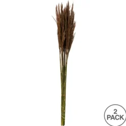 Preserved Plume Reed Bundles, Set Of 2-Kirkland's Home Cheap