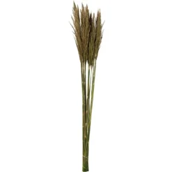 Preserved Plume Reed Bundles, Set Of 2-Kirkland's Home Sale