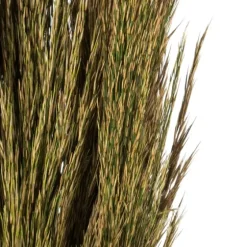 Preserved Plume Reed Bundles, Set Of 2-Kirkland's Home Sale