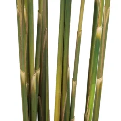 Preserved Plume Reed Bundles, Set Of 2-Kirkland's Home Sale