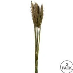 Preserved Plume Reed Bundles, Set Of 2-Kirkland's Home Sale