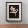 Pressed Leaves Iv Framed Art Print-Kirkland's Home Store