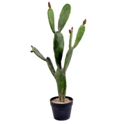 Prickly Pear Cactus In Black Pot-Kirkland's Home Outlet