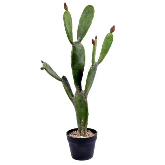 Prickly Pear Cactus In Black Pot-Kirkland's Home Outlet