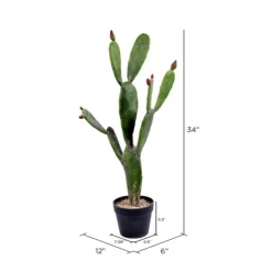 Prickly Pear Cactus In Black Pot-Kirkland's Home Outlet