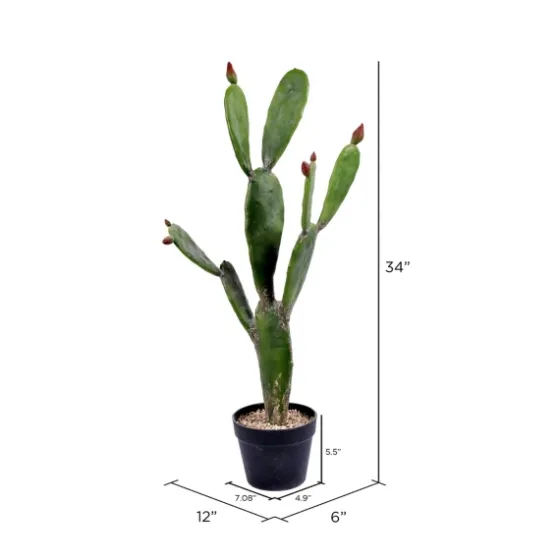 Prickly Pear Cactus In Black Pot-Kirkland's Home Outlet