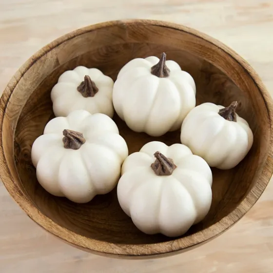 Pumpkin Filler-Kirkland's Home Clearance