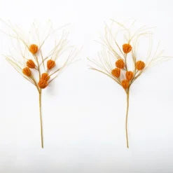 Raffia Pod Stems, Set Of 2-Kirkland's Home Best