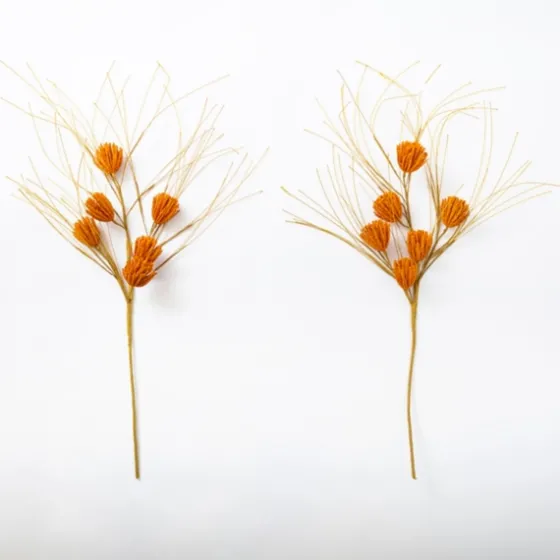 Raffia Pod Stems, Set Of 2-Kirkland's Home Best