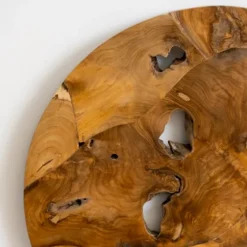 Raw Teak Root Medallion Wall Plaque-Kirkland's Home Sale
