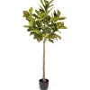 Real Touch Croton Leaf Tree In Black Pot, 6 Ft.-Kirkland's Home Online