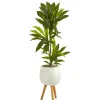Real Touch Dracaena In Mossy Tripod Planter-Kirkland's Home Outlet