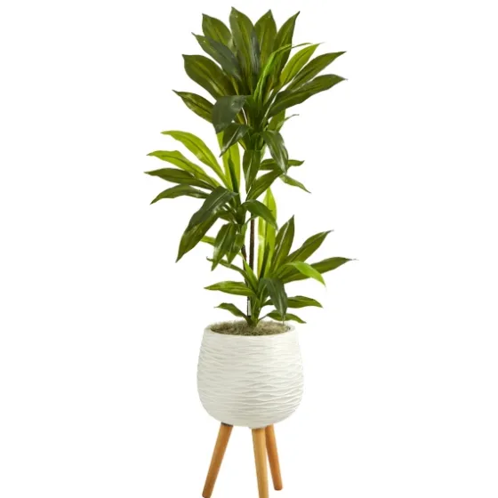 Real Touch Dracaena In Mossy Tripod Planter-Kirkland's Home Outlet