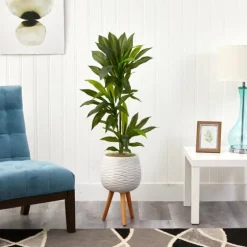 Real Touch Dracaena In Mossy Tripod Planter-Kirkland's Home Outlet