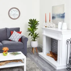 Real Touch Dracaena In Mossy Tripod Planter-Kirkland's Home Outlet