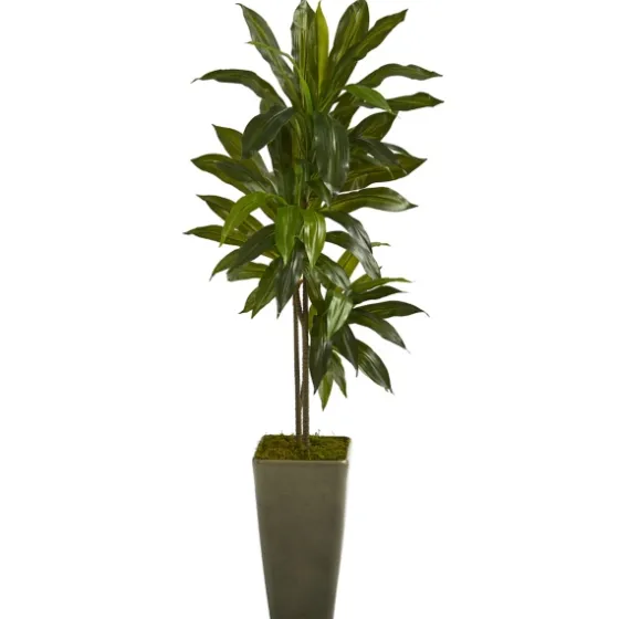 Real Touch Dracaena Tree In Green Planter, 4.5 Ft.-Kirkland's Home Best Sale
