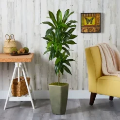 Real Touch Dracaena Tree In Green Planter, 4.5 Ft.-Kirkland's Home Best Sale