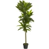 Real Touch Dracaena Tree In Black Planter-Kirkland's Home Fashion