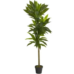 Real Touch Dracaena Tree In Black Planter-Kirkland's Home Fashion