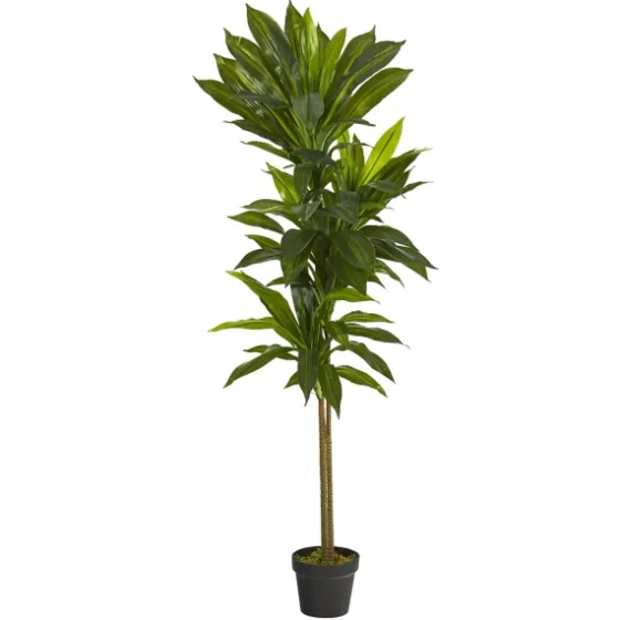 Real Touch Dracaena Tree In Black Planter-Kirkland's Home Fashion