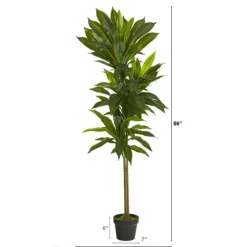 Real Touch Dracaena Tree In Black Planter-Kirkland's Home Fashion