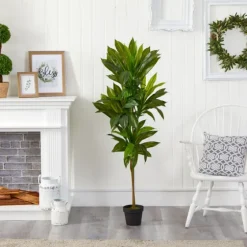 Real Touch Dracaena Tree In Black Planter-Kirkland's Home Fashion