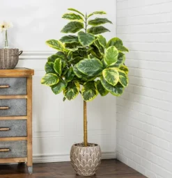 Real Touch Variegated Ficus Altissima Tree, 4 Ft.-Kirkland's Home Best