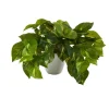 Real Touch Variegated Pothos In White Planter-Kirkland's Home Sale