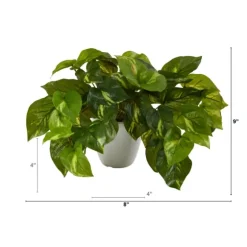 Real Touch Variegated Pothos In White Planter-Kirkland's Home Sale