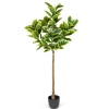 Real Touch Variegated Rubber Tree, 6 Ft.-Kirkland's Home Best Sale