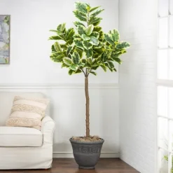 Real Touch Variegated Rubber Tree, 6 Ft.-Kirkland's Home Best Sale