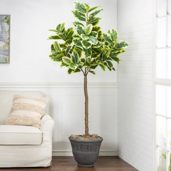 Real Touch Variegated Rubber Tree, 6 Ft.-Kirkland's Home Best Sale